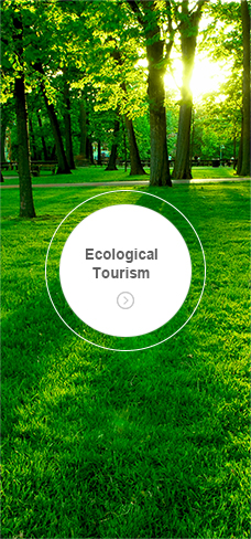 Ecological Tourism